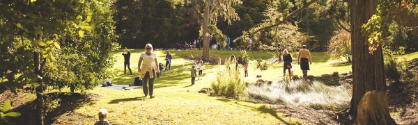 Eastwoodhill Arboretum